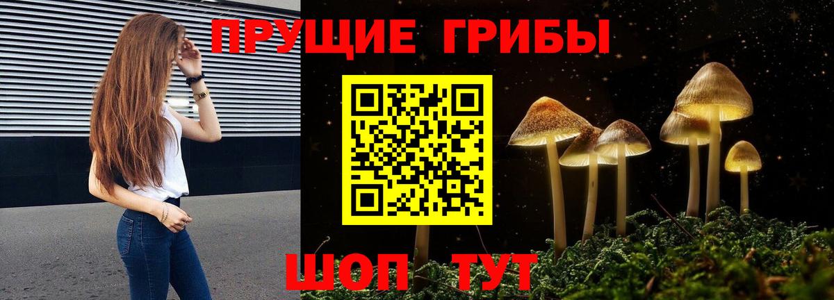 Кашира  Псилоцибиновые грибы мухоморы  купить   Вход с VPN 